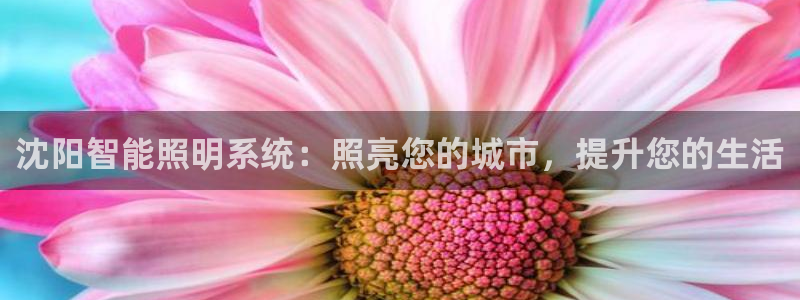 云顶国际测试服免费领取