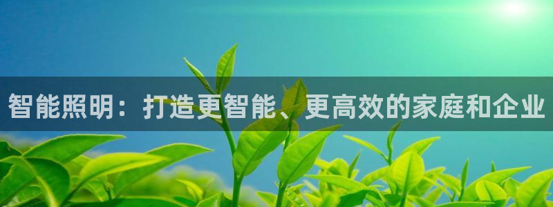 云顶国际公馆户型图