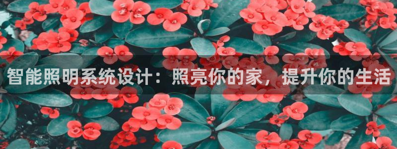 云顶国际物流电话