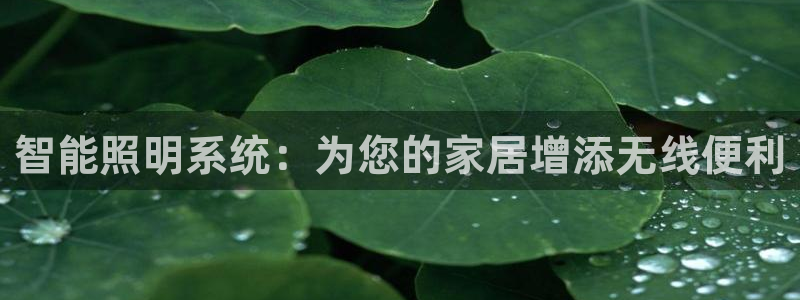 云顶最新线路检测