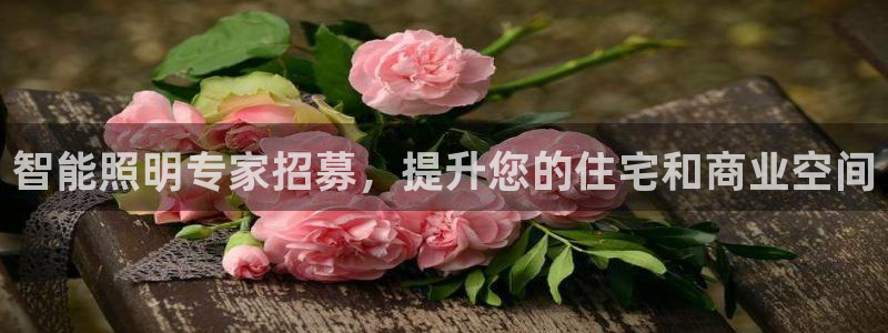 云顶国际服最新版