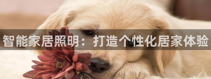 云顶国际地址
