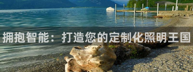 云顶国际房地产有限公司