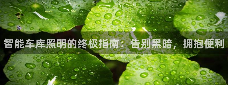 云顶国际游戏平台有哪些