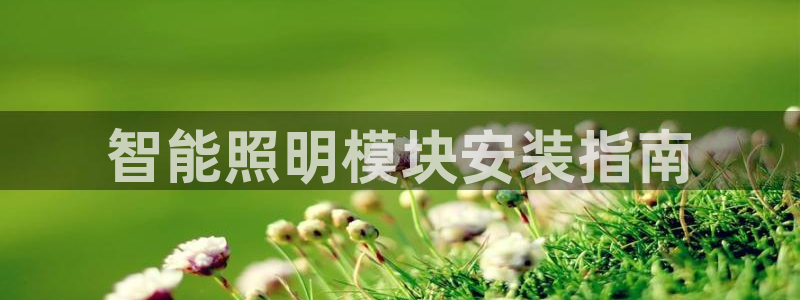 云顶集团有限公司简介资料