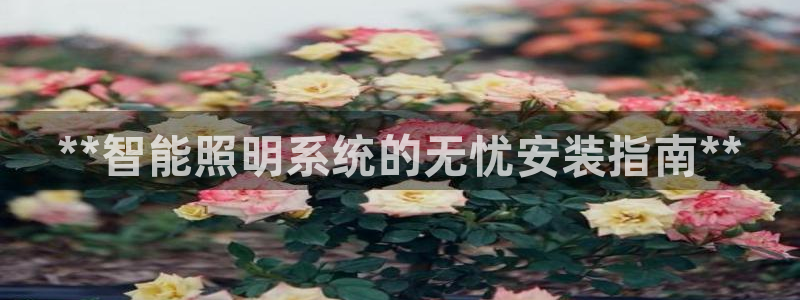18183云顶