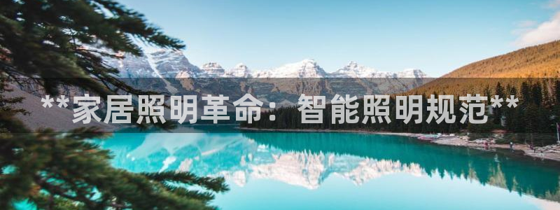 登录云顶集团的网站
