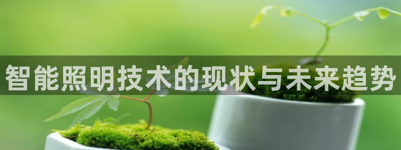 云顶国际旅行社
