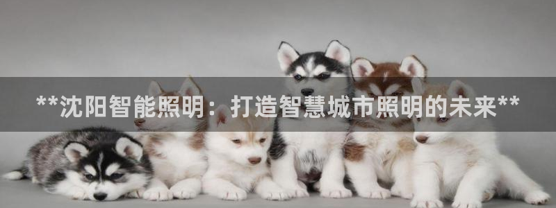 云顶电子游戏网站登录