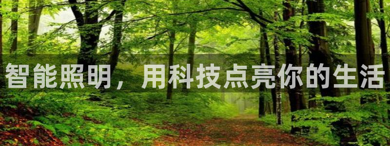 云顶国际集团 深圳