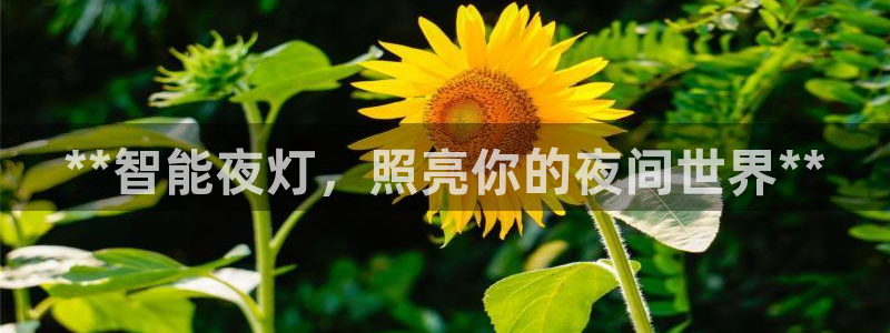 云顶国际服下面按键不灵敏