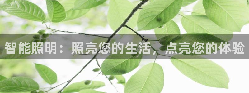 云顶国际app官方下载安装最新版