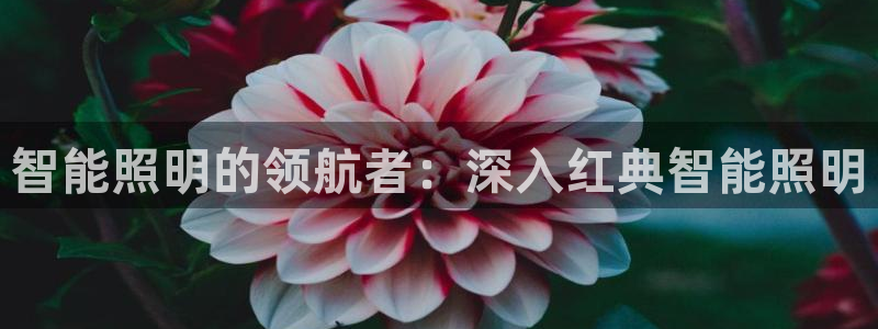 云顶国际培训中心电话