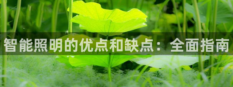 云顶最新套路2021