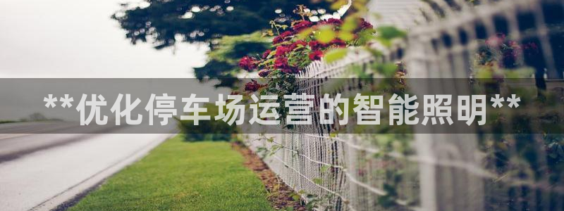 云顶国际ktv会所怎么样