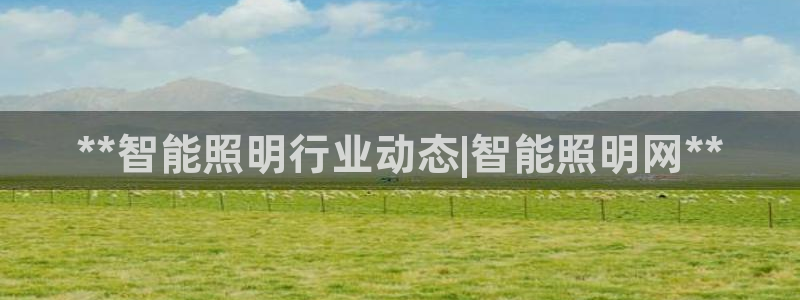 云顶国际服充值