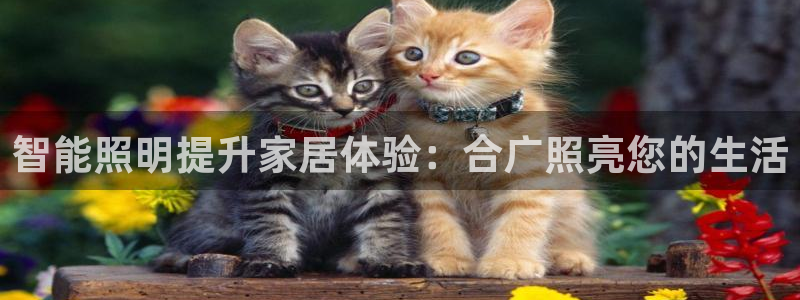 云顶国际在线购彩