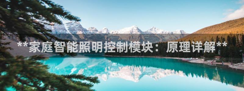 9559云顶国际