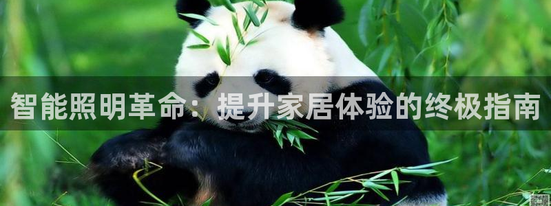 云顶集团中国区总裁