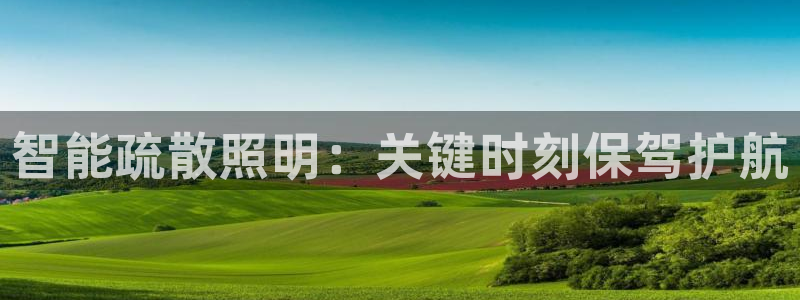云顶国际版下载