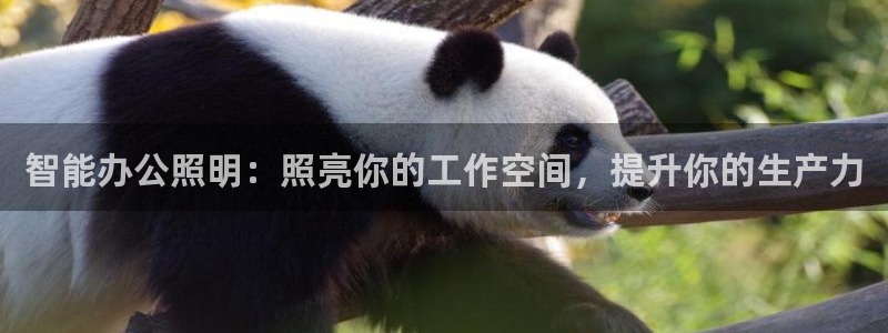 云顶国际装饰设计公司