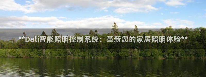 云顶国际酒店老板是谁