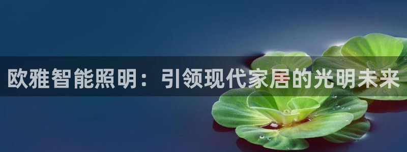 云顶国际官网app下载安装