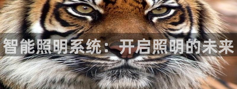 中国云顶控股集团