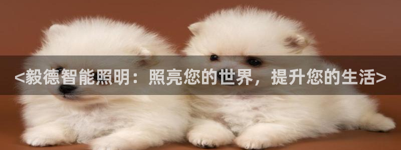 云顶国际公馆二手房出售