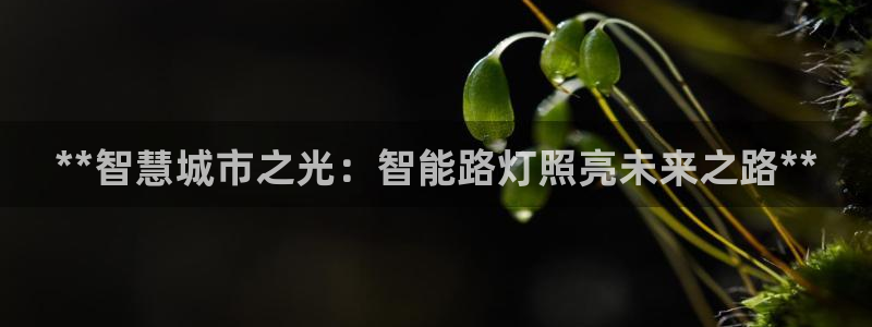 云顶国际是合法的吗