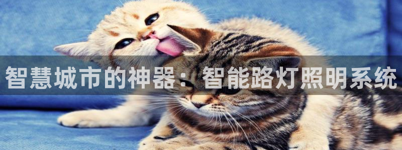 云顶国际公馆有取暖吗