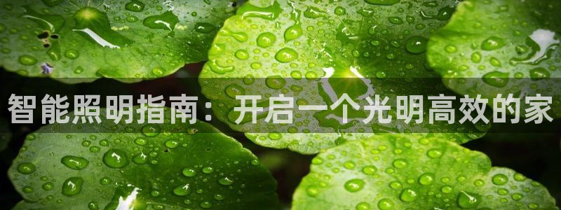 云顶集团是哪个国家的