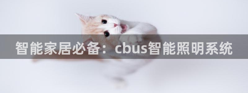 云顶国际提现多久到账啊