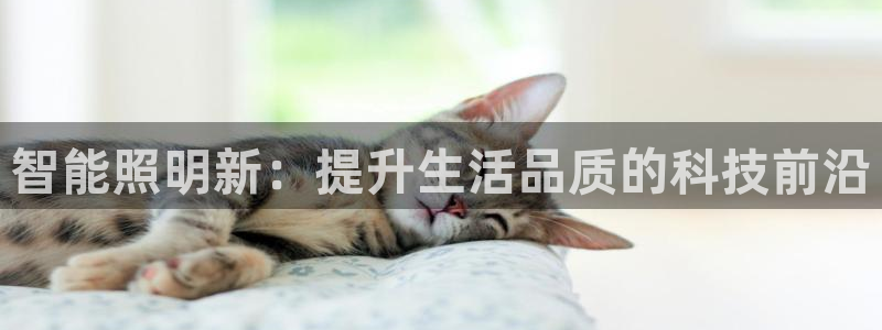 云顶国际麻将胡了几张牌：智能照明新：提升