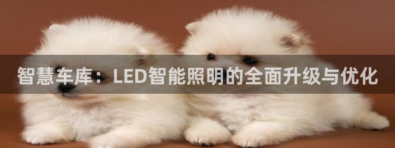云顶国际服汉化