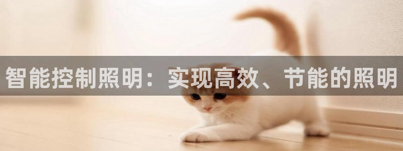 云顶集团 林国泰