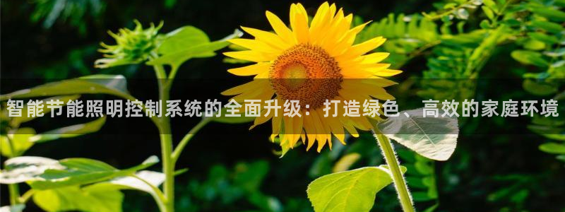 云顶国际城手机网址是什么