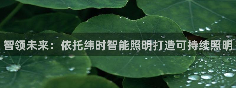 云顶国际大酒店老板