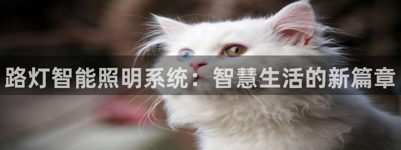 云顶国际酒店老板是哪里人