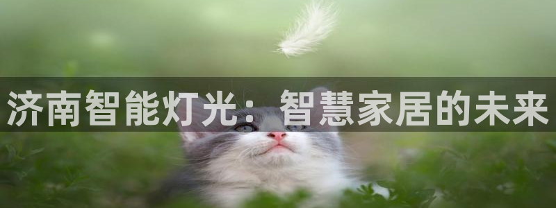 云顶国际服账号交易