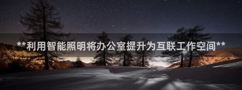 云顶国际酒店老板简介