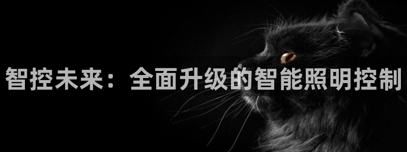 云顶国际服服务端错误
