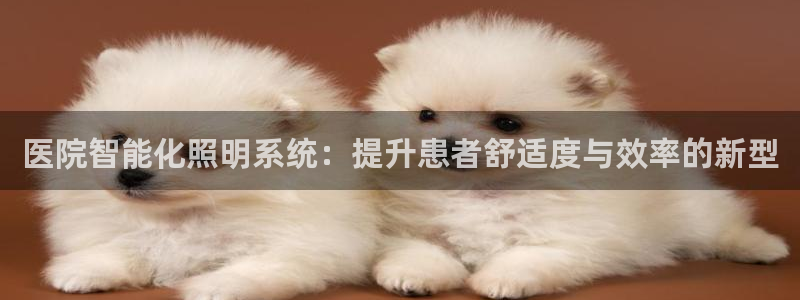 云顶国际软装公司怎么样