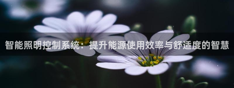 云顶国际和百姓渔村哪家好