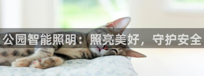 云顶国际服什么时候更新s117