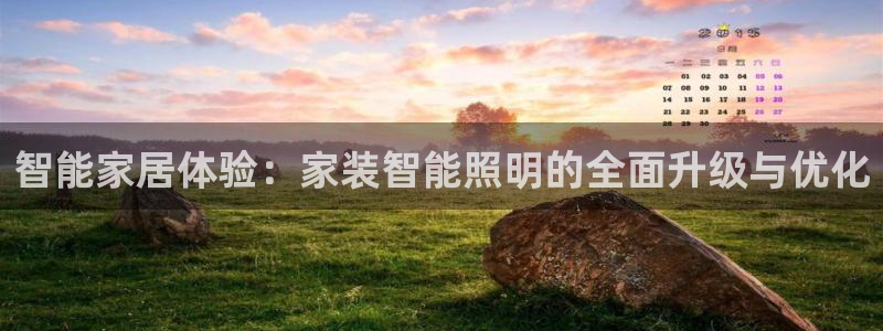 云顶国际是做什么的公司