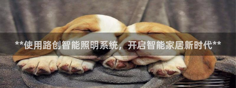 云顶国际麻将胡了几张牌