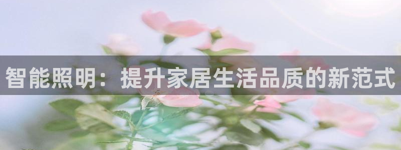 云顶国际服名字不可用