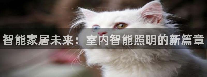 云顶国际服s6