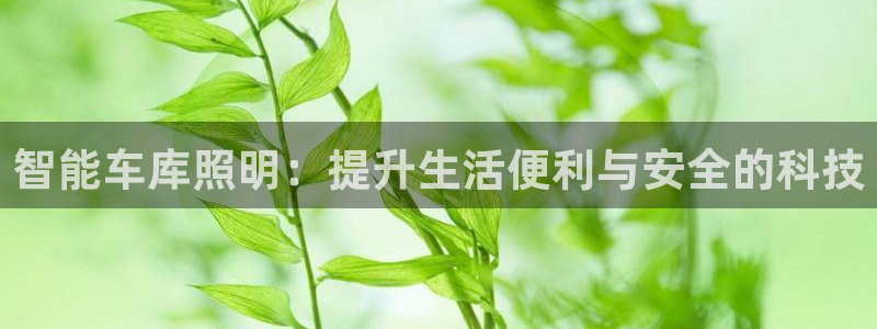 云顶手游国际服什么时候更新4.5